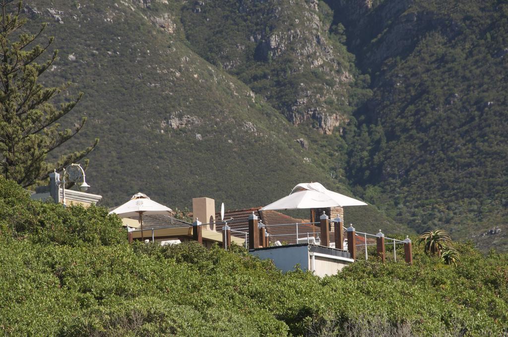 Kennedys Beach Villa Hermanus Dış mekan fotoğraf
